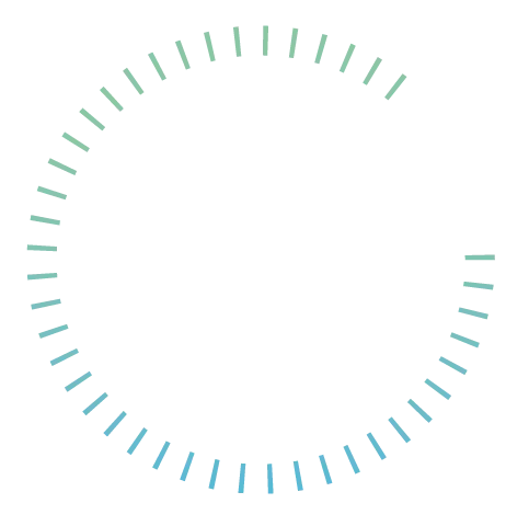 Solución Personalizada